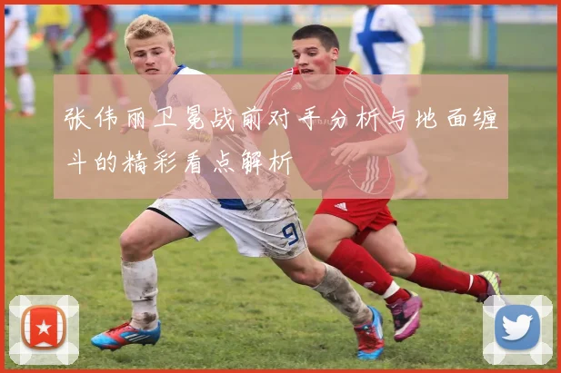 张伟丽卫冕战前对手分析与地面缠斗的精彩看点解析