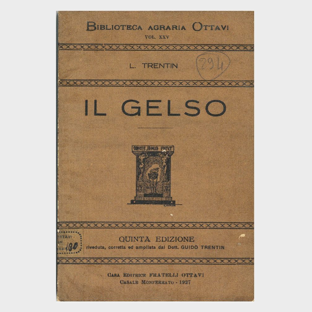Book Cover: IL GELSO